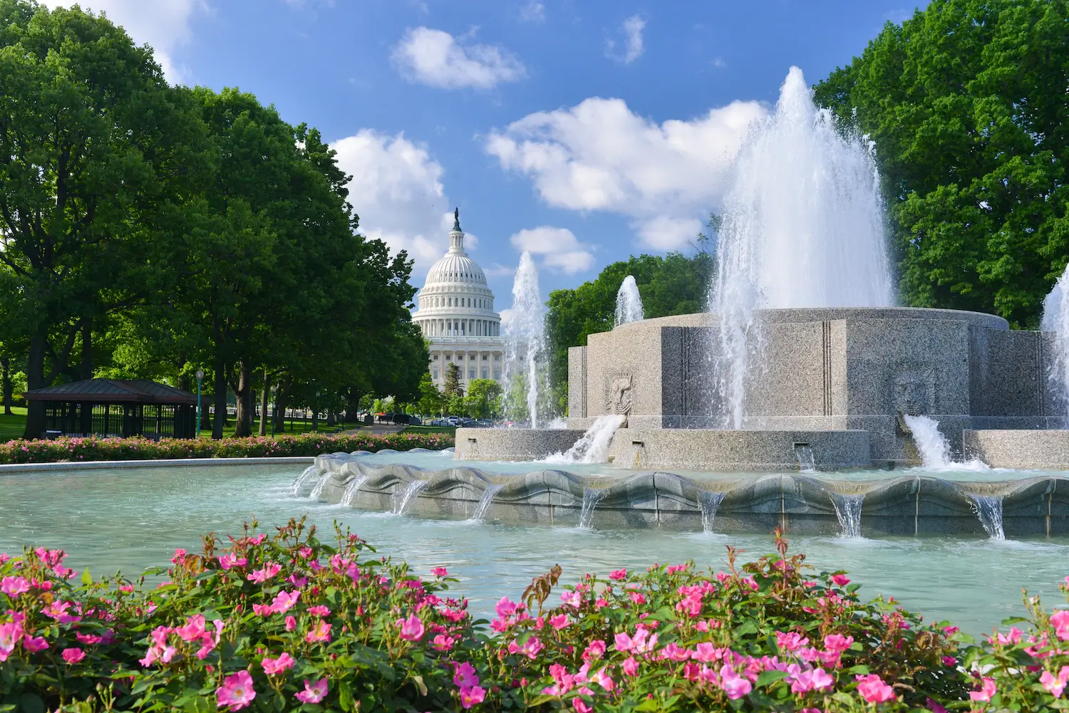 Washington DC Property Management